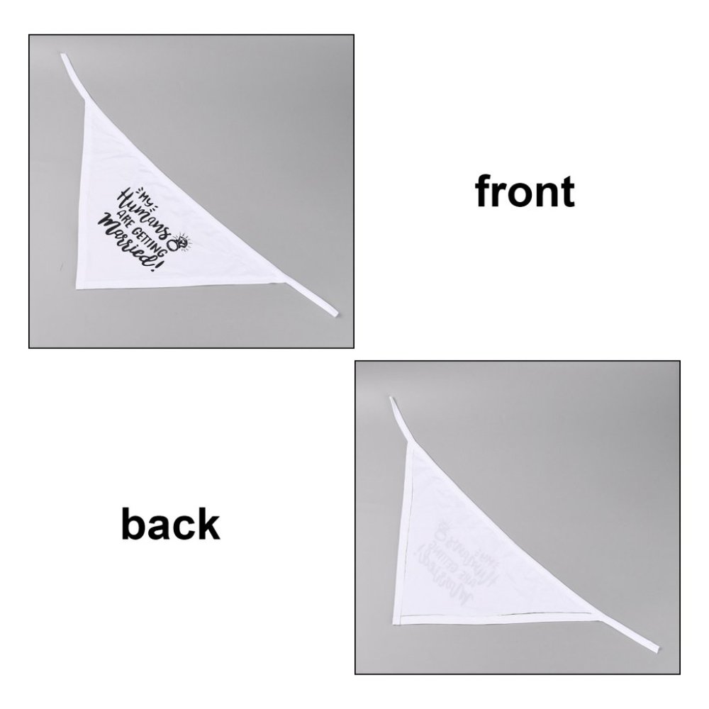 New set of 2 pet bandana for engagement / wedding for dog / cat - Picture 5 of 6